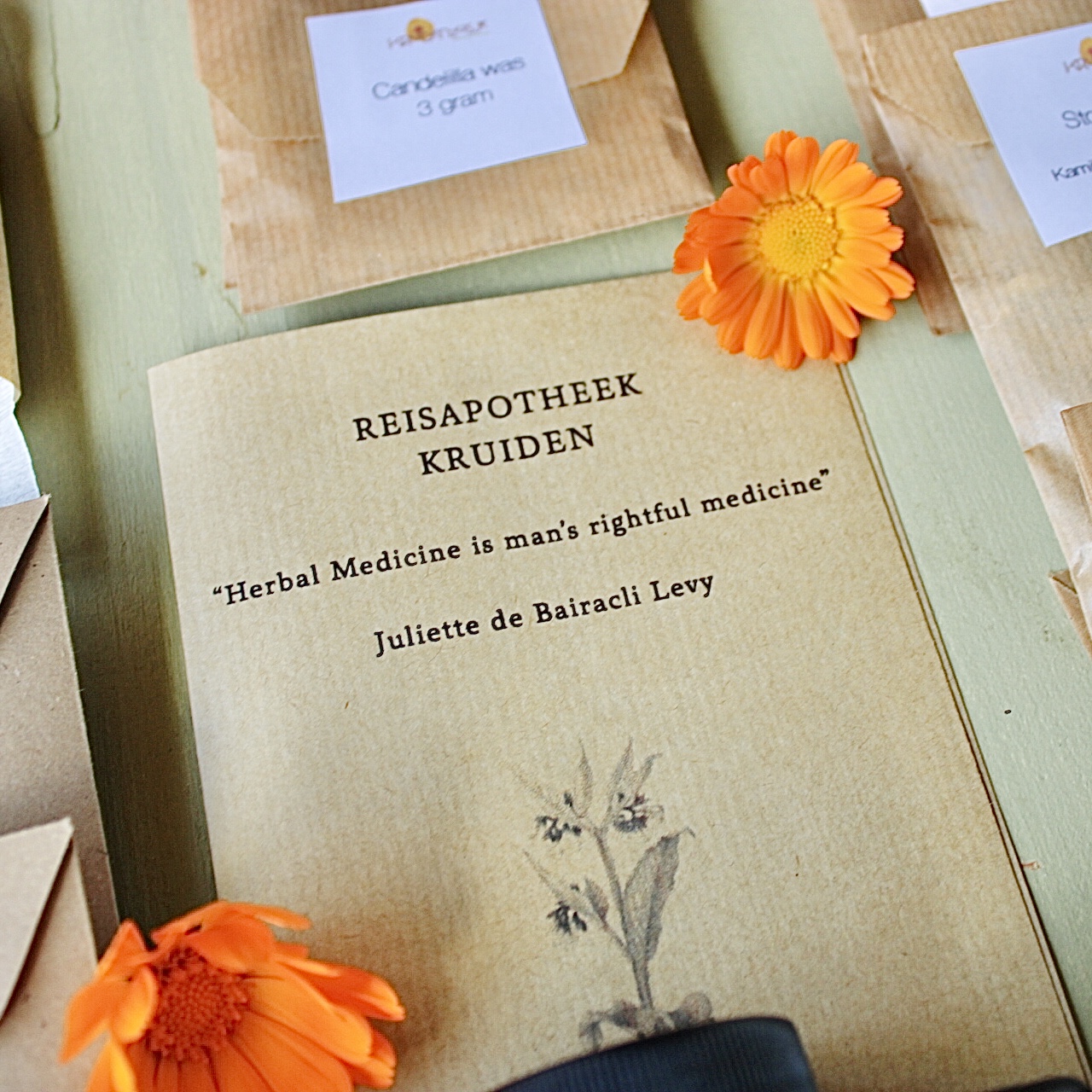 Reisapotheek kruiden EHBO kruiden