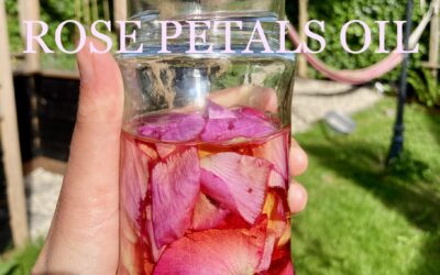 Rose petals oil – Rozenolie