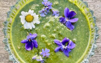 Pesto in het voorjaar!